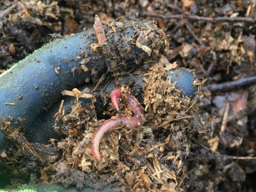 C7778C66-5E41-49B5-B968-5D42D0550A24_1_105_c