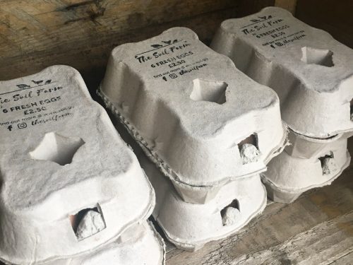 CCDA17A1-4288-4F84-99C2-7789149FD11C_1_105_c