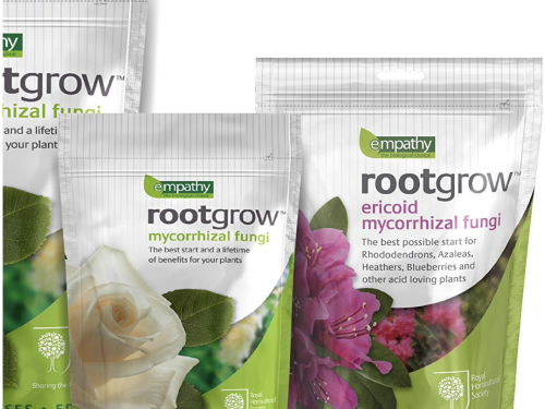 Screenshot 2020-02-19 at 15.39.38