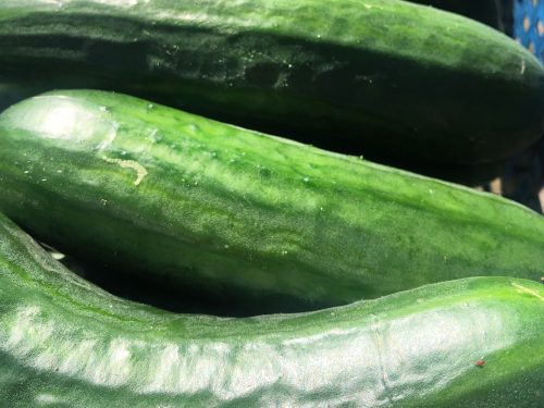 5D98CE2C-0E0D-433F-A8A5-19ABD7141B15