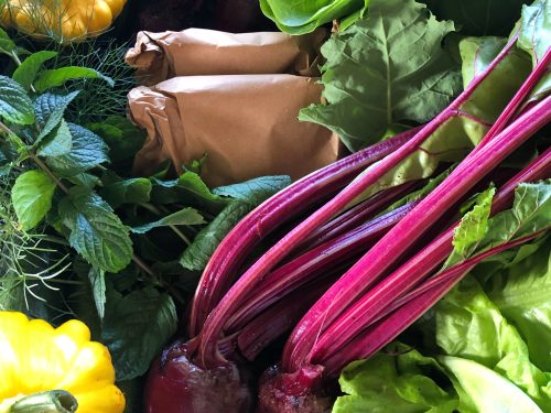 A495C6B3-20F3-49B8-B692-0C815F447A39