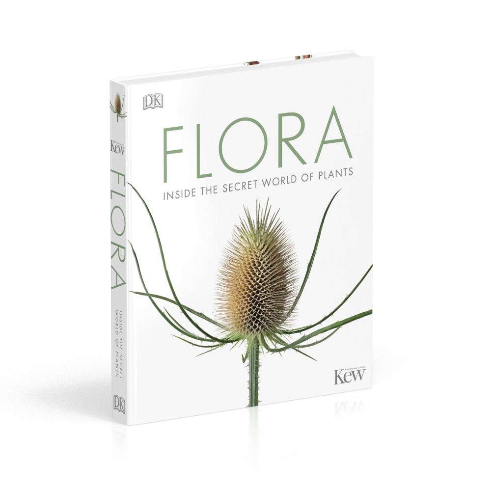 Recommendation Page Images.003