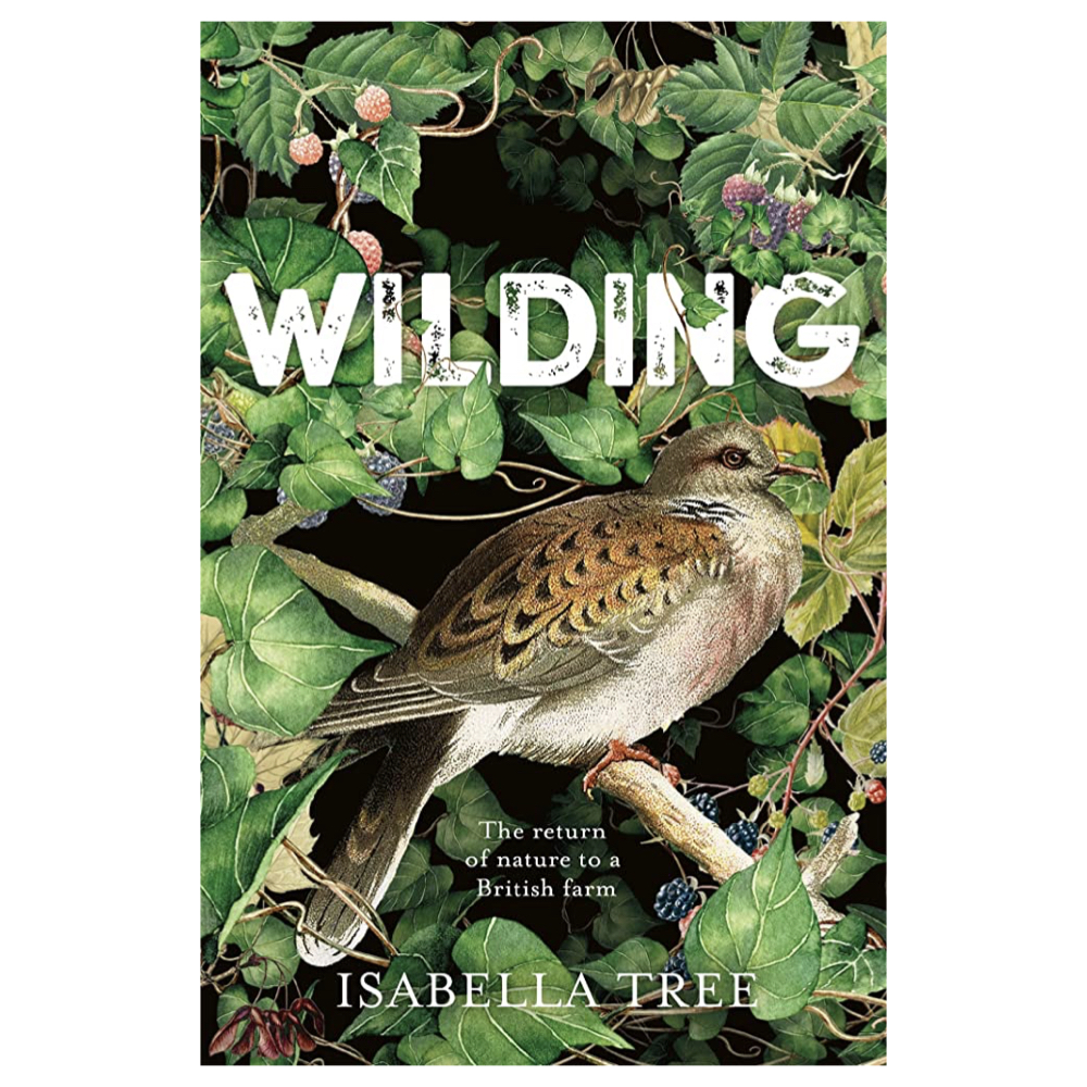 Recommendation Page Images.009