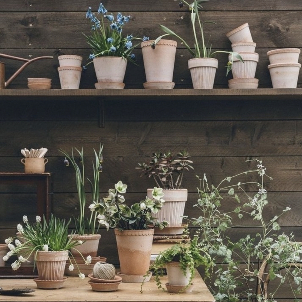 Recommendation Page Images.019