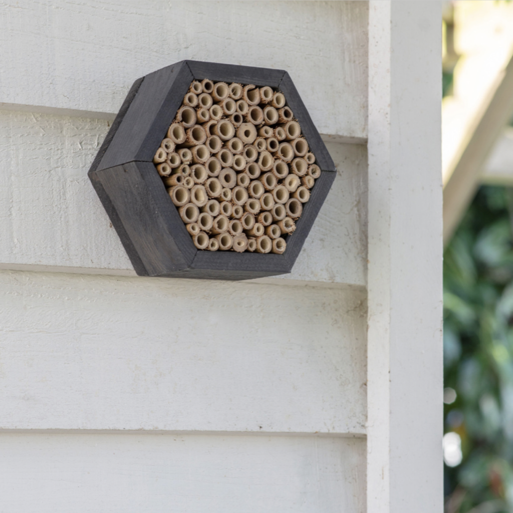 Screen Shot 2023-03-25 at 22.41.22