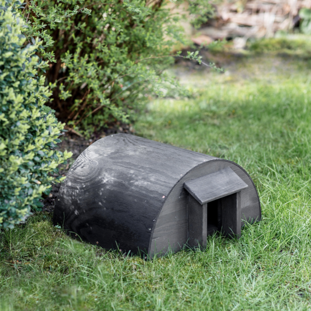 Screen Shot 2023-03-25 at 22.44.00